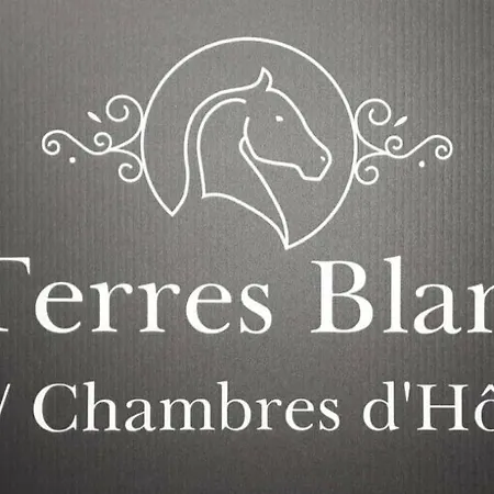 Baden ベッド・アンド・ブレックファスト 3*