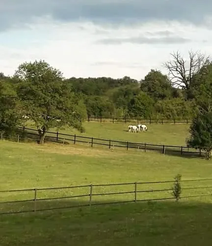 Baden Bed & Breakfast Le Boulvé