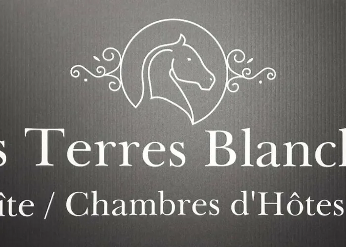 Baden Bed & Breakfast 3*