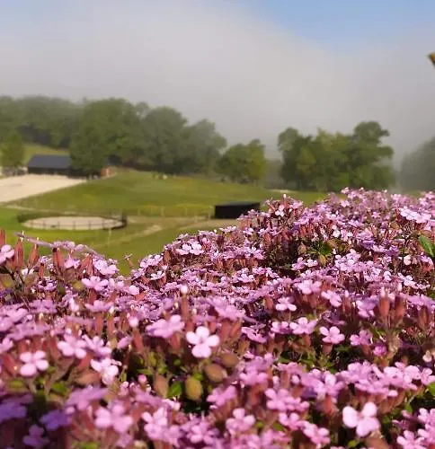 Baden Bed & Breakfast 3*