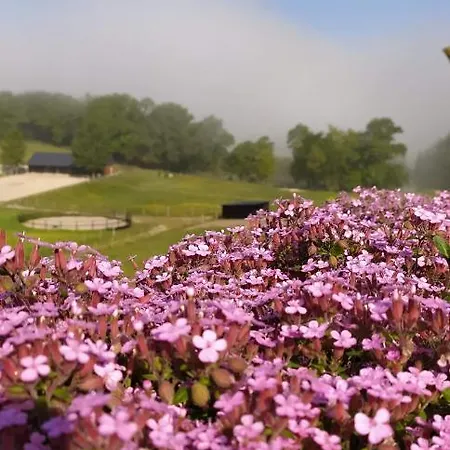 Baden Alojamento de Acomodação e Pequeno-almoço 3*